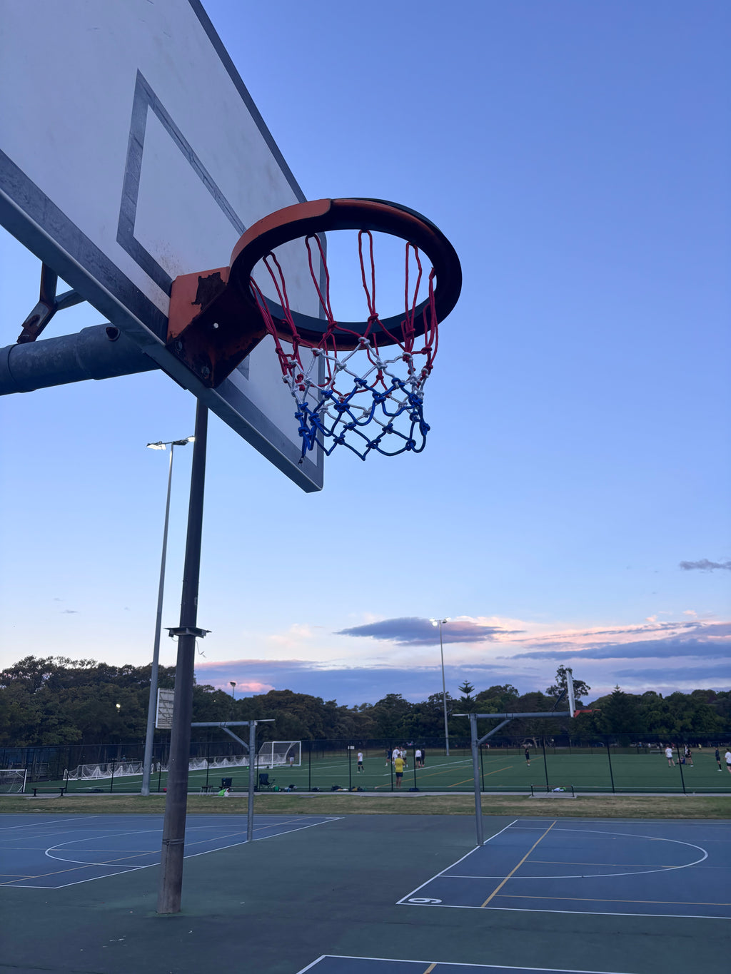 Portable Basketball Hoop – Weatherproof, Easy Setup
